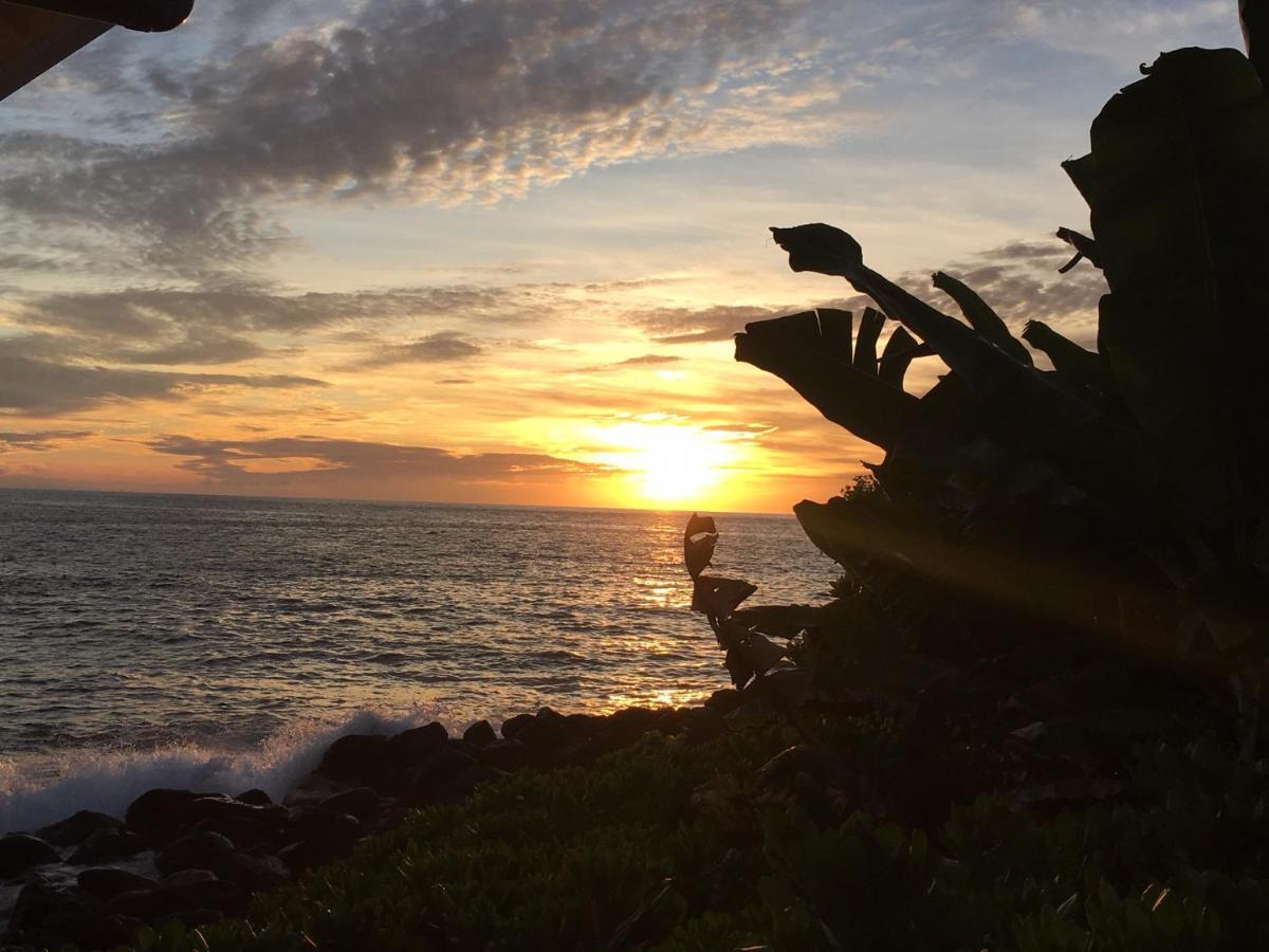 Da Kona West 305 Leilighet Kailua-Kona Eksteriør bilde