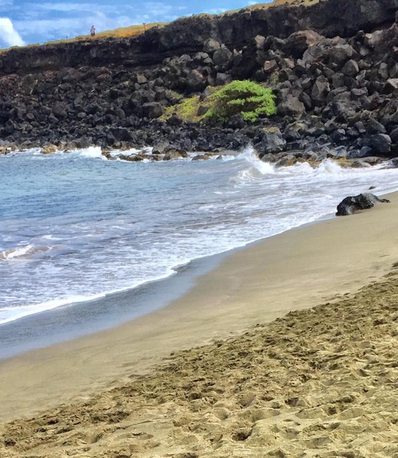 Da Kona West 305 Leilighet Kailua-Kona Eksteriør bilde